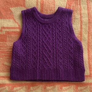 Zara Violet Knit Sweater Vest